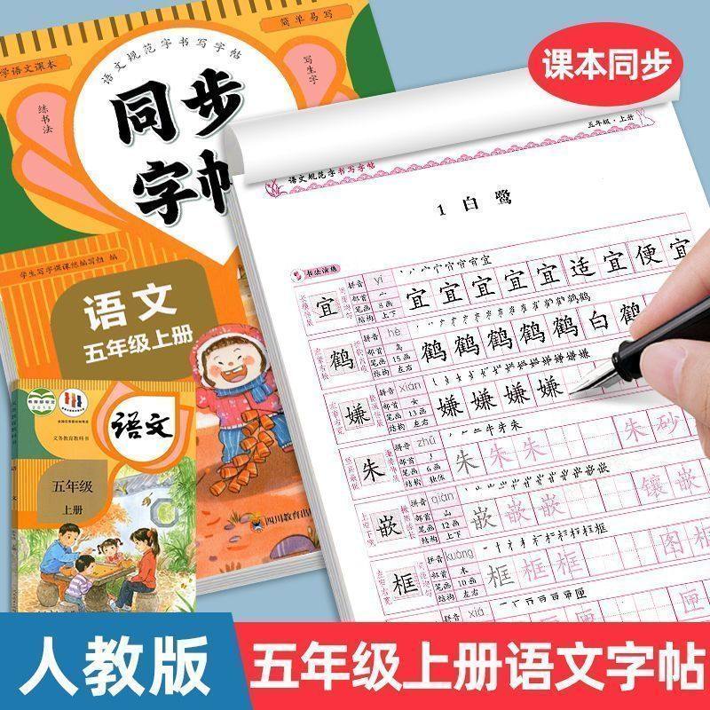 五年级上册语文同步练字帖人教版小学生5年级上学期语文写字课课练课本生字组词教材同步训练练习一课一练临摹字帖描红本每日一练