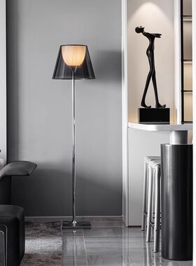 北欧意大利Bibliotheque简约客厅落地灯卧室床头柜书房摆件书架灯