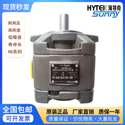 海特克内啮合齿轮泵HG2-125/160