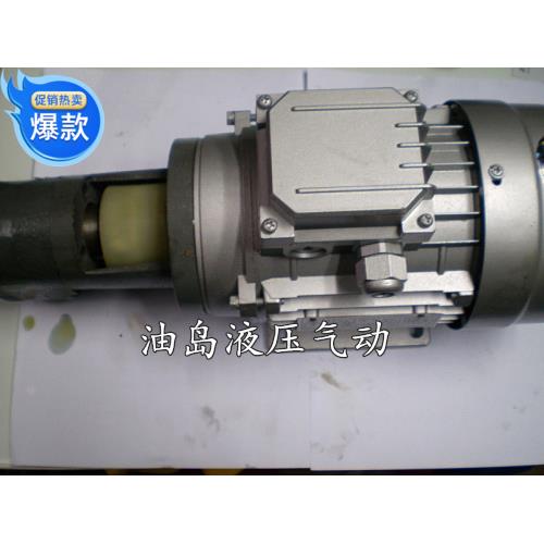 电机泵组 齿轮泵配370W电机  CB-B电机泵组