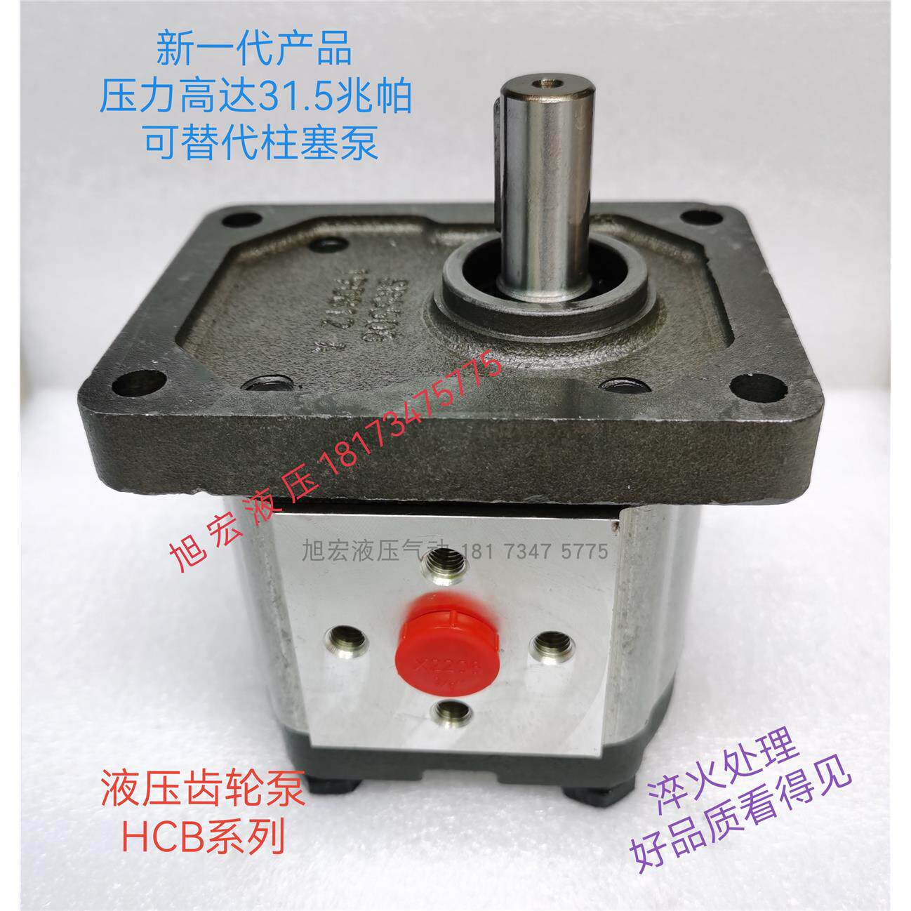 高压齿轮泵液压HCBN-F314 F316 CBT-E310EG325质保一年31.5兆帕