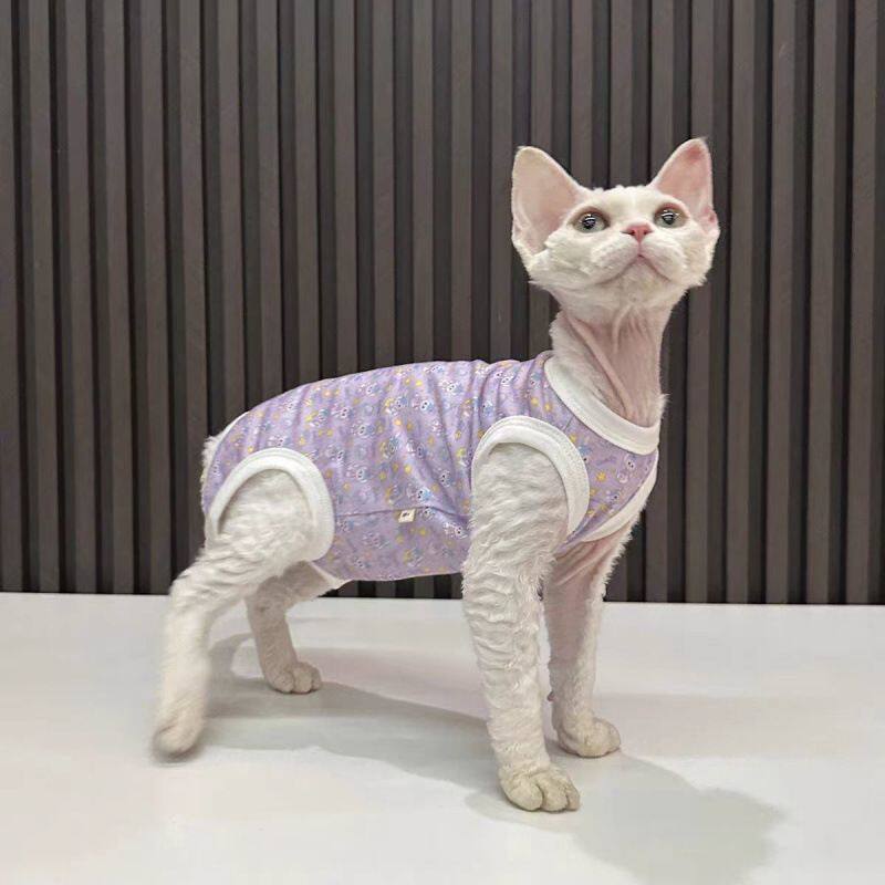 猫咪衣服夏季防掉毛四脚衣德文无毛无袖猫春秋款