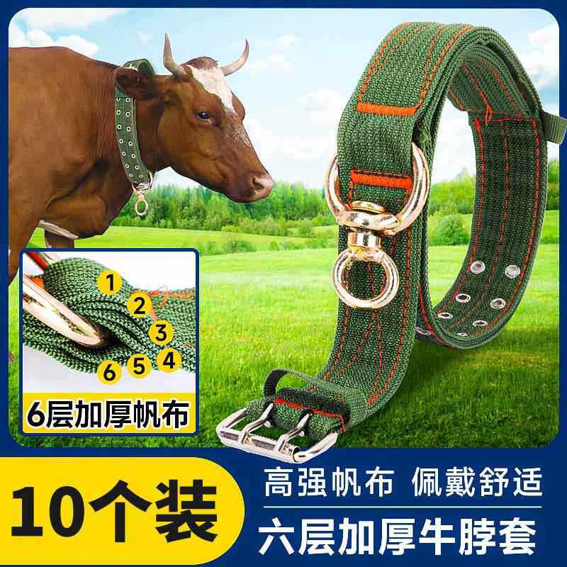 加厚栓牛脖套抓羊牛用品大全牛羊项圈牛脖子套拴牛绳子