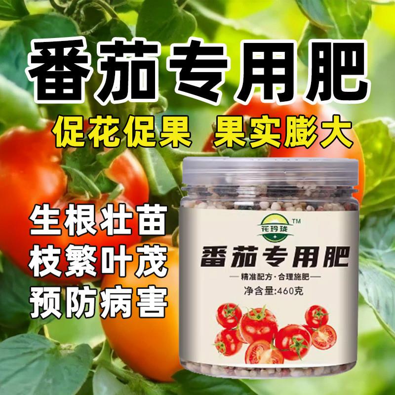 番茄肥西红柿肥圣女果营养液小番茄肥料盆栽蕃茄种子挂果