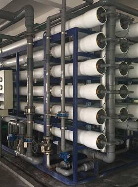 大型工业商用双级反渗透设备纯水设备超纯水机生物医制