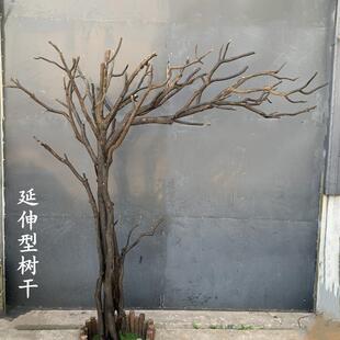 仿真枯树大型造型树猫爬架道具树鸟站架咖啡店假树装饰酒店橱窗客