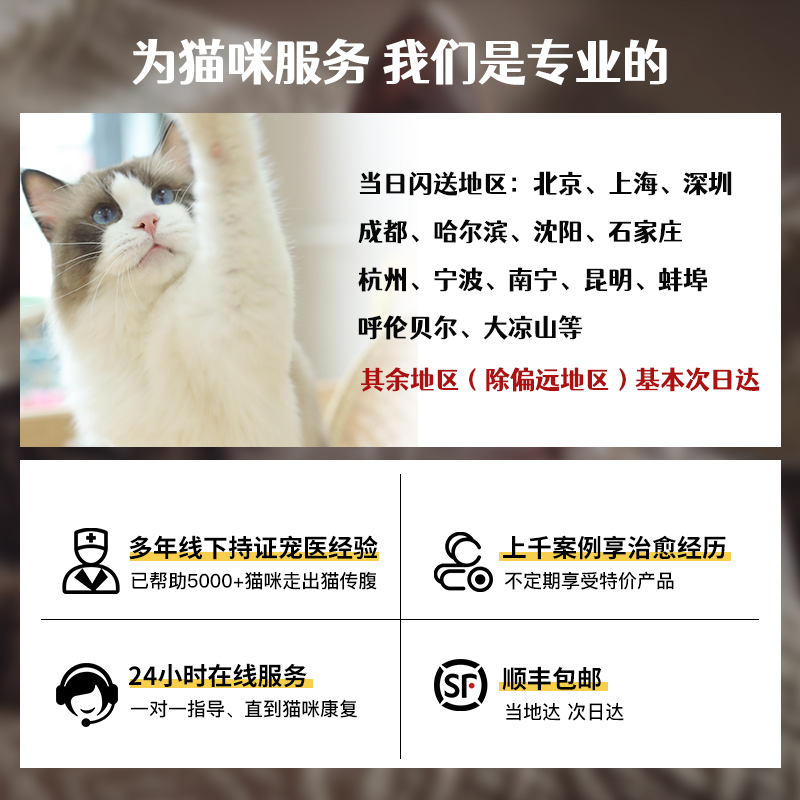 猫传腹猫咪消腹水干性湿性猫性腹膜炎FIPV抑制剂口服营养液