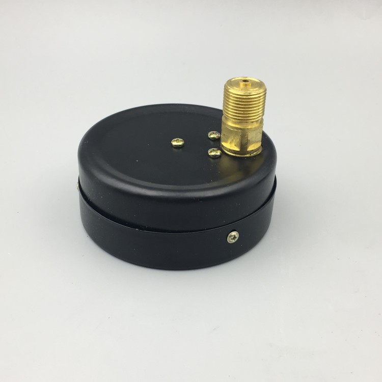 天湖Y-100Z轴向不带边压力表 真空表背接气压水压0-1 1.6 2.5MPA