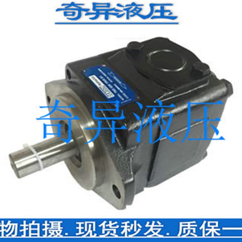 DENISON丹尼逊 T6DC 038 031/028/025/022/020/017 1R/2R/3R00 B1