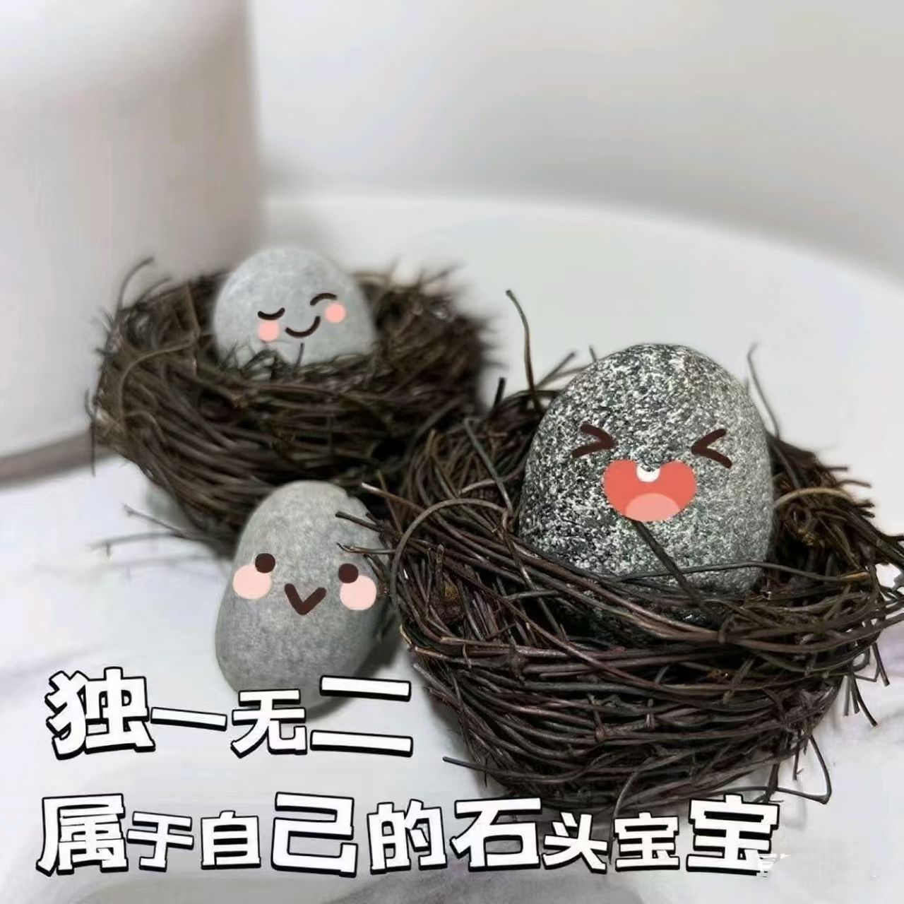 宠物小石头玩具养石头异宠宠物