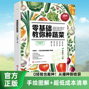 零基础教你种蔬菜 手把手打造绿色健康菜园科学种植天然蔬菜种植宝典辣椒番茄黄瓜有机蔬菜栽培技术大全书籍 从种子到餐桌