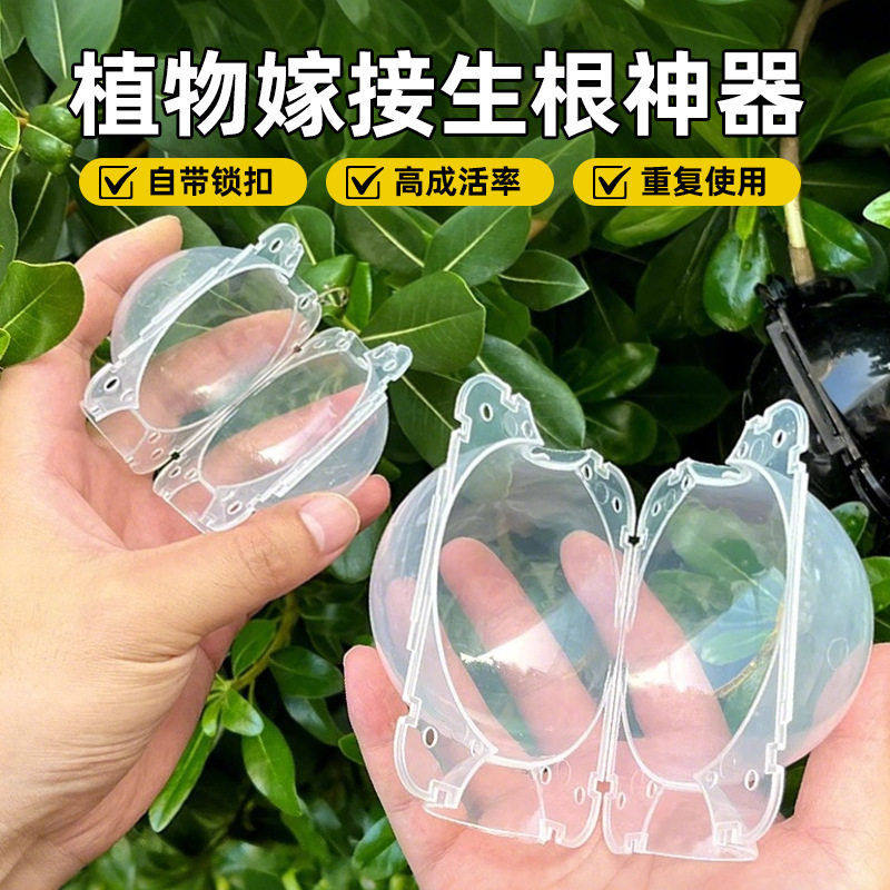 植物压盒繁殖盒嫁接盒植物生根球园林树木空压枝器繁殖球透明,鲜花速递/花卉仿真/绿植园艺,其它园艺用品,淘宝优惠券,粉丝福利购,淘宝优惠卷