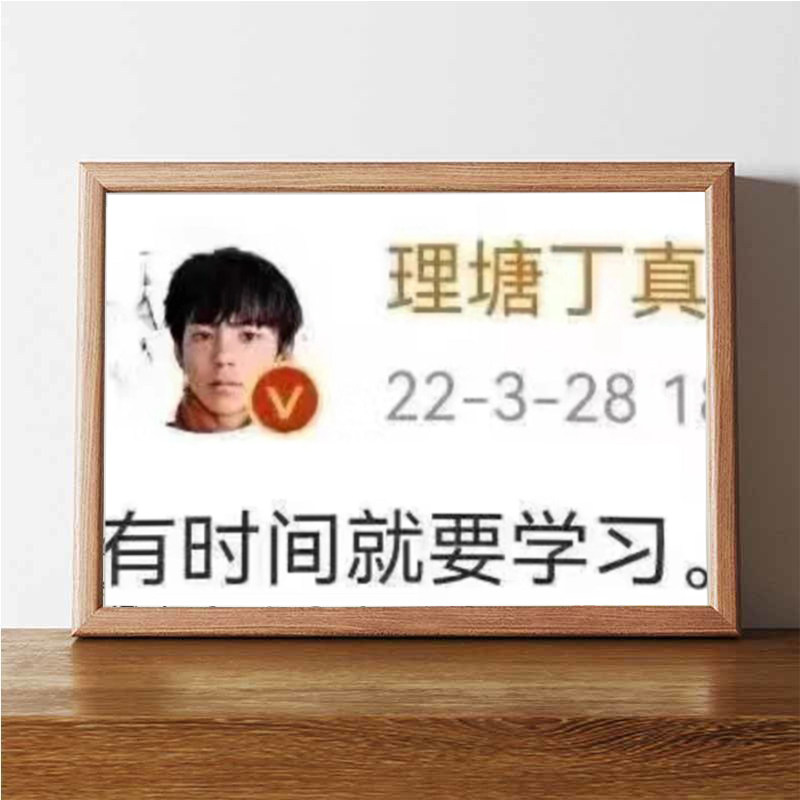丁真有时间就要学习知识学爆搞笑挂画励志学生宿舍桌面装饰画摆件