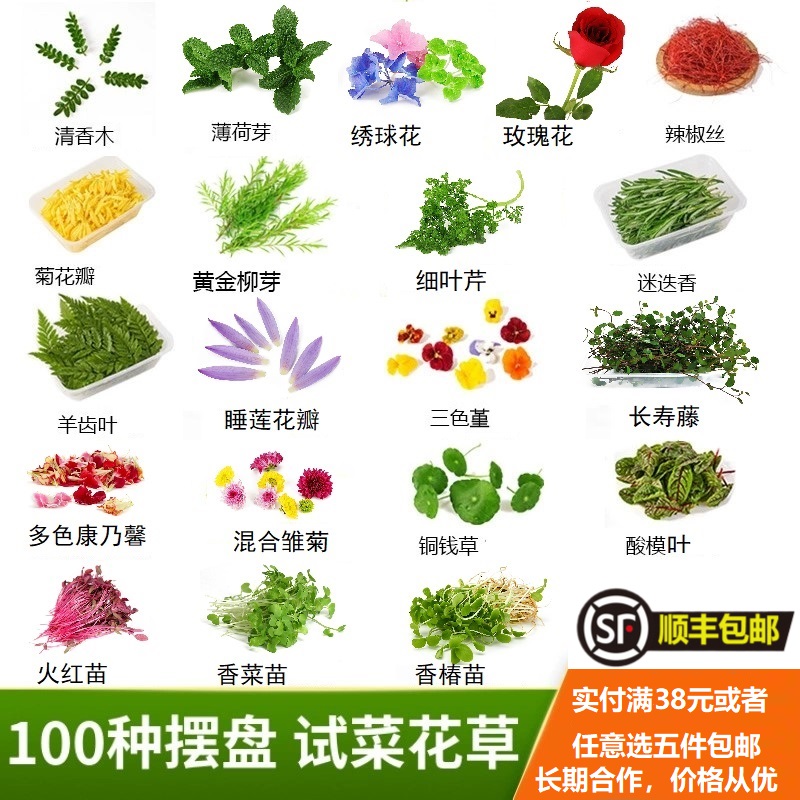 摆盘装饰花草餐厅日料刺身摆盘花草点缀蛋糕装饰植物装饰花草摆