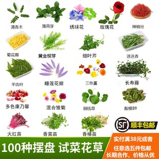 摆盘装饰花草餐厅日料刺身摆盘花草点缀蛋糕装饰植物装饰花草摆