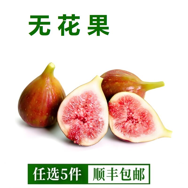 云南红皮无花果新鲜现摘现发大果孕妇鲜果当季水果新鲜无花果500g