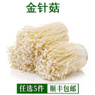 新鲜金针菇250g 时鲜菌类 凉拌烧烤蔬菜火锅素菜配菜麻辣烫食材