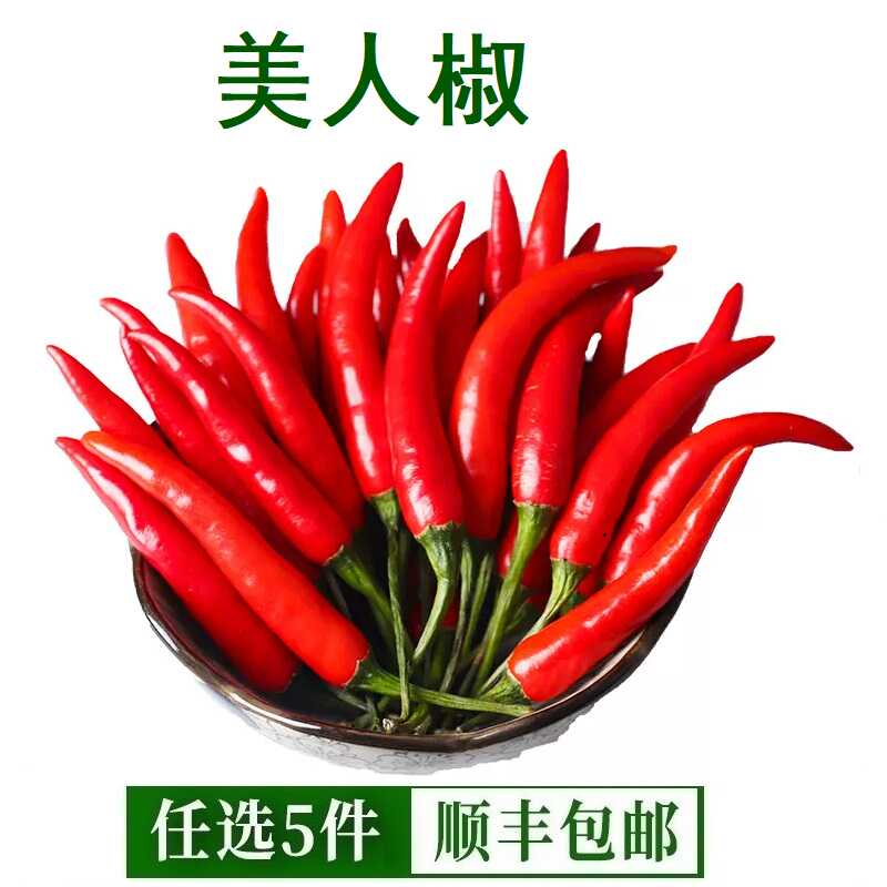 新鲜红辣椒美人椒辣妹子薄皮红尖椒特辣农家蔬菜笨辣椒剁椒辣椒酱