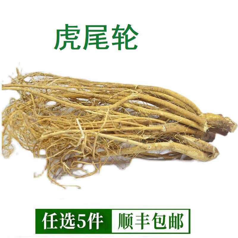 野生石参根野生虎尾轮干500g新鲜干货客家土特产源汤汤煲酒楼专用