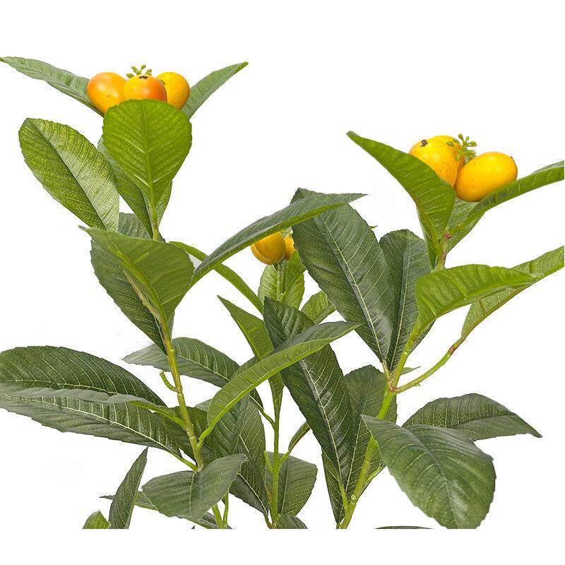 新款仿真枇杷树盆栽室内外客厅装饰小果树植物绿植盆景摆件