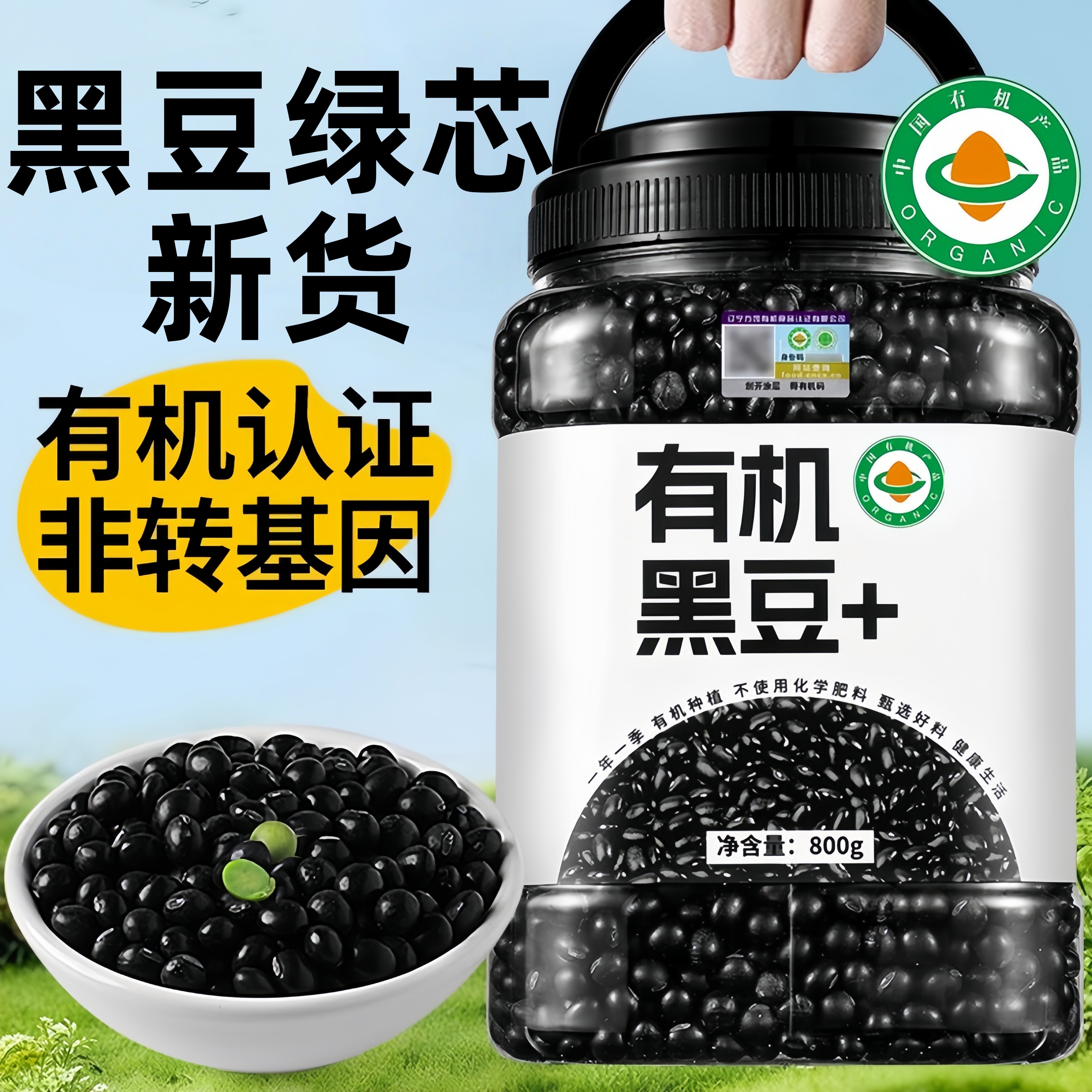 央妈推荐绿芯黑豆有机新货正品