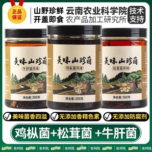 油鸡枞菌云南特产牛肝菌松茸菌小吃下饭菜小袋菌开袋即食蘑菇零食