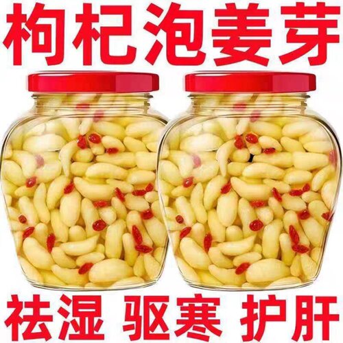 新疆包邮淄博枸杞泡姜芽新鲜嫩姜芽酸甜腌制泡菜下饭菜糖醋生姜片