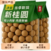 桂圆干龙眼大果福建莆田5斤新货肉厚核小无干燥剂正品 官方旗舰店