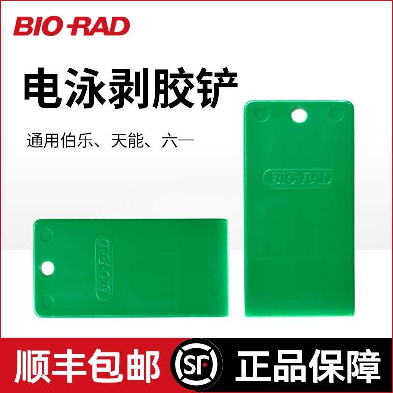 伯乐WB电泳剥胶铲启胶器起胶板切胶板跑胶板凝胶铲小铲子1653320