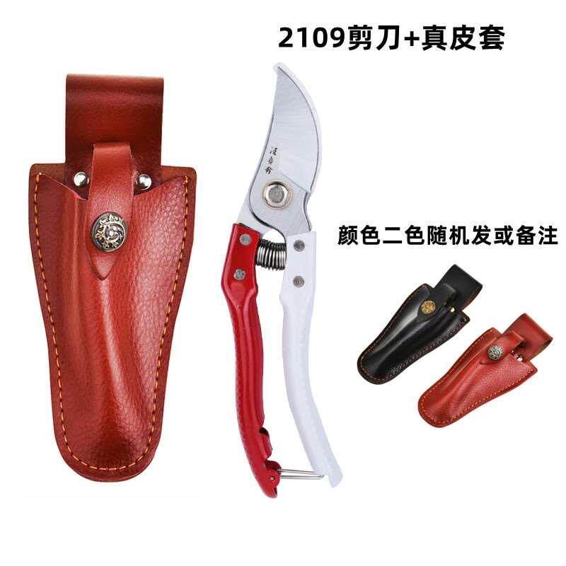 正品汪吾铨SK5高碳钢 2109修枝剪园艺剪 修树枝花艺 2202整枝剪