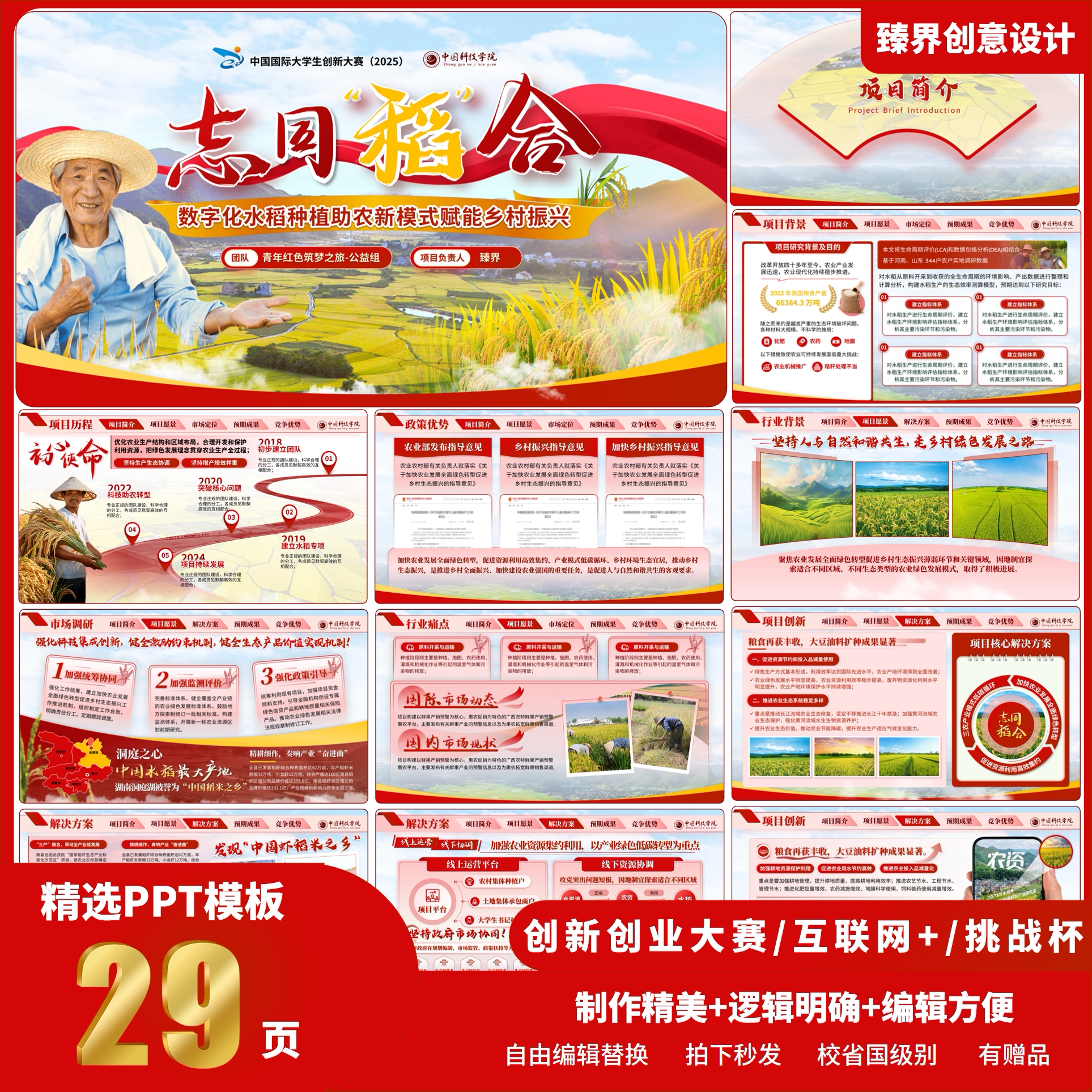 创赛挑战杯互联网+PPT模板乡村振兴现代农业可改色可编辑高级感