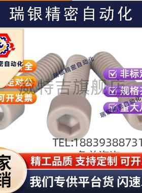 TAB01-M3M4M5M6耐高温PEEK塑料螺丝耐腐蚀内六角螺丝PEKB树脂螺栓