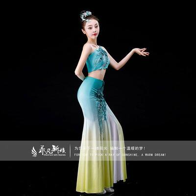 成人傣族舞蹈演出服女鱼尾裙修身傣族服装云南西双版纳裙子表演服