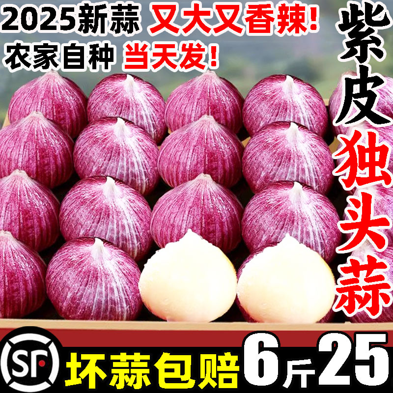【顺丰】香辣特大独头蒜整箱6.8