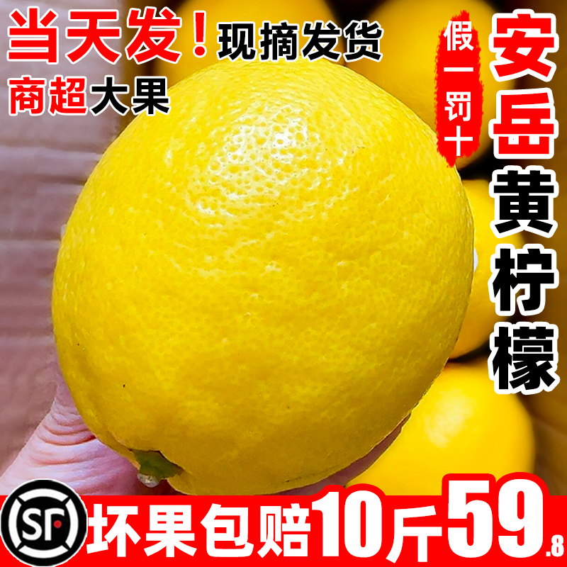 四川安岳黄柠檬新鲜果皮薄一级无籽商用酸批发奶茶店专用有现摘机