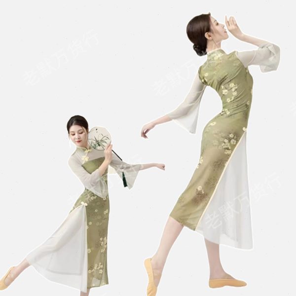 落花情舞蹈服新款高弹力显瘦舞蹈旗袍古典舞演出服入画江南表演服