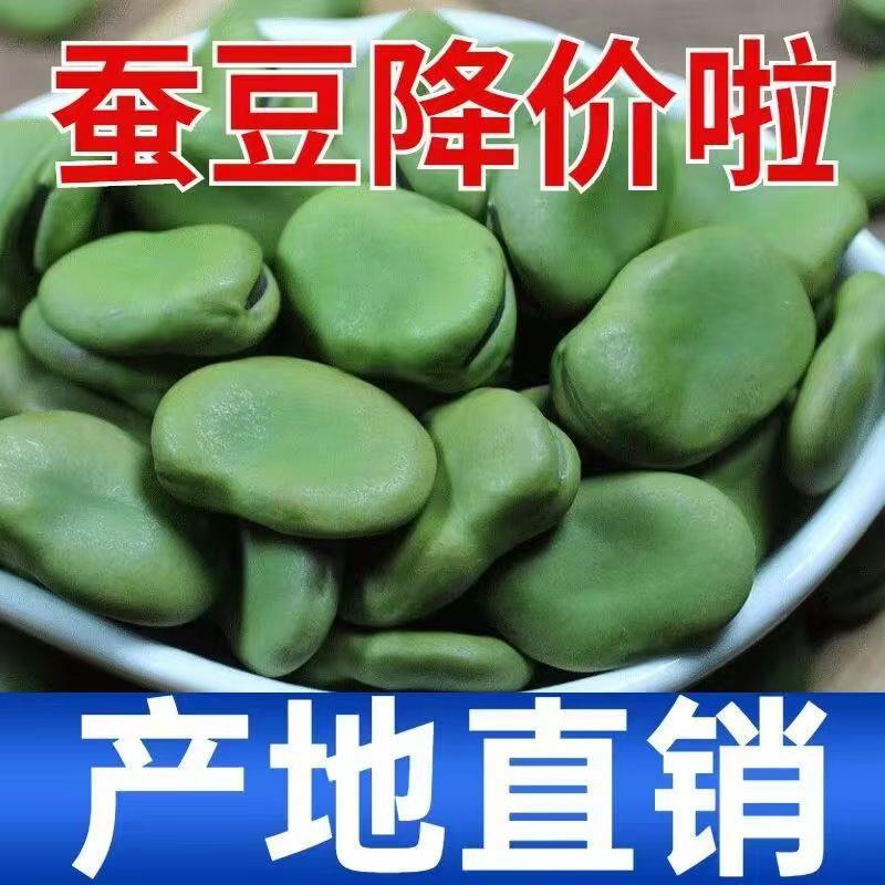 生蚕豆干豆子农家绿皮罗汉新豆胡青皮干货豆发芽可袋装非四川5斤