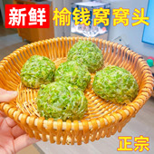 榆钱窝窝头2024新鲜山东榆树钱儿菜团子余钱馍馍杂粮大黄米杂粮包