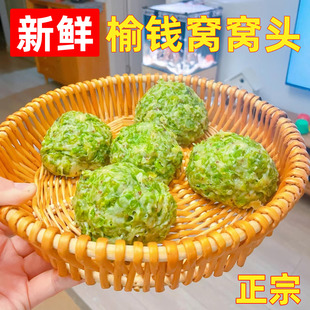 榆钱窝窝头2024新鲜山东榆树钱儿菜团子余钱馍馍杂粮大黄米杂粮包