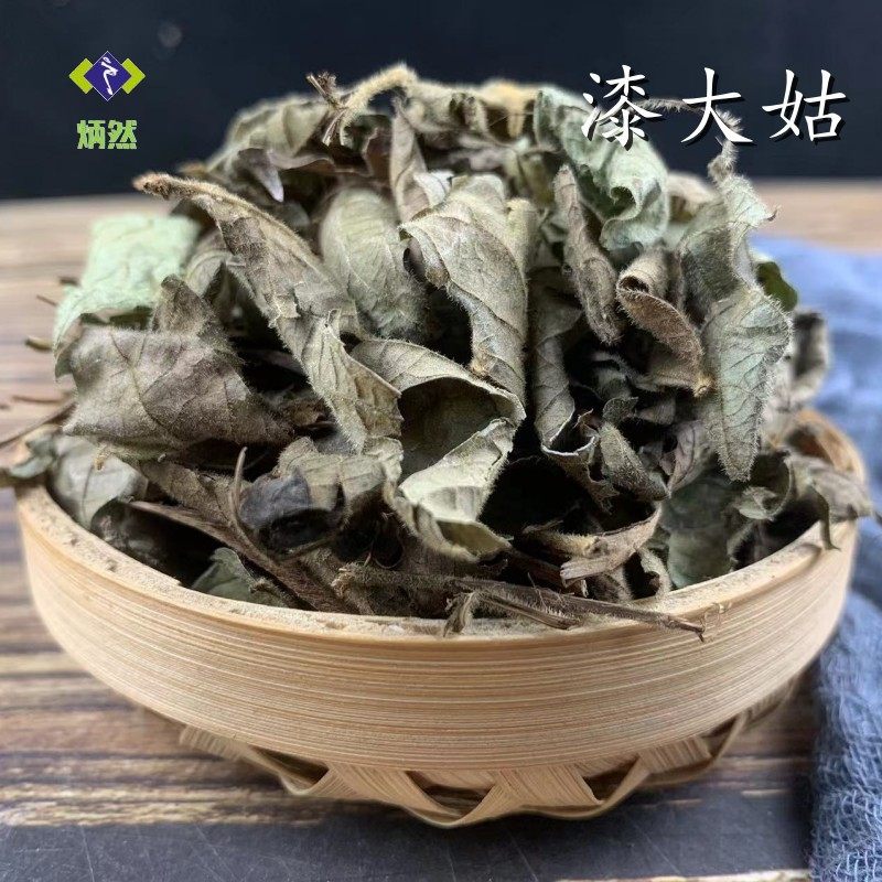 漆大姑 毛果算盘子枝叶毛漆算盘子根野南瓜漆大伯非野生中药材