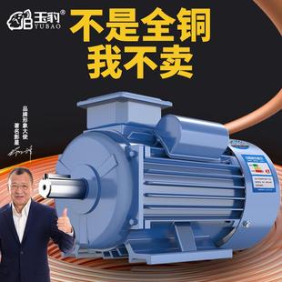 2.2 单相电机220V纯铜线 1.5 线小型两相0.75 3KW高速异步马 1.1