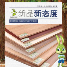 兔宝宝板材免漆板生态板实木0级环保细木工板杉木大芯家具衣柜板
