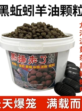 黑蚯蚓羊油黑颗粒虾笼捕鱼网笼黄鳝诱饵抓龙虾河虾泥鳅黄鳝鱼饵料