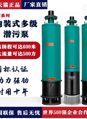 内装式工程多级潜水泵380V污水泵大流量高压高扬程WQXN矿用排污泵