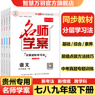 【贵州专版】2026春名师学案七八九年级下册全一册专项训练语文数学英语物理生物历史地理道法教材辅导同步练习册教辅书七年级下册