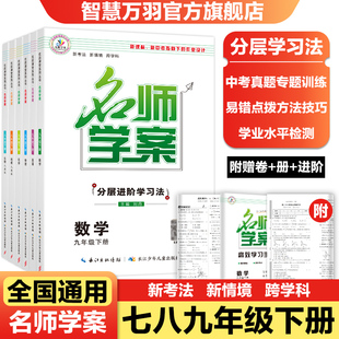 26春学期【全国版】名师学案初中七八九年级下册同步练习册测试题初中必刷题复习辅导资料中考复习专项训练试题试卷人教版