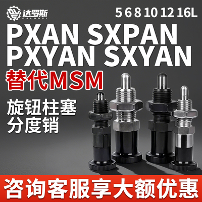 PXAN SXPAN PXYAN SXYAN5 6 8 10 12 16L旋钮柱塞细牙自锁