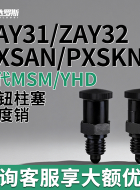 ZAY31/ZAY32-M12 M16自锁型旋钮柱塞细牙分度销PXSAN/PXSKN12 16