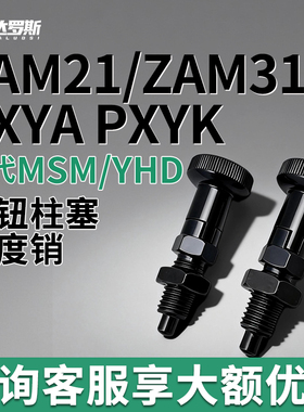 ZAM21/ZAM31尼龙头自锁细牙分度销锁旋钮柱塞PXYA PXYK10 12 16