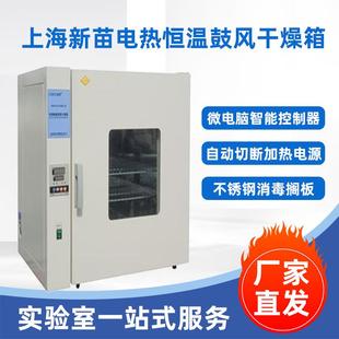 上海DHG 9033BS 9143BS III电热恒温鼓风干燥箱200℃升级款